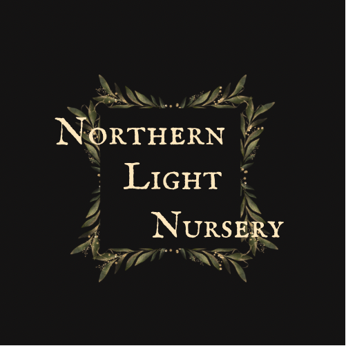 Premium Sphagnum Moss Bulk 10lb. Bale - Ethically Grown & Harvested