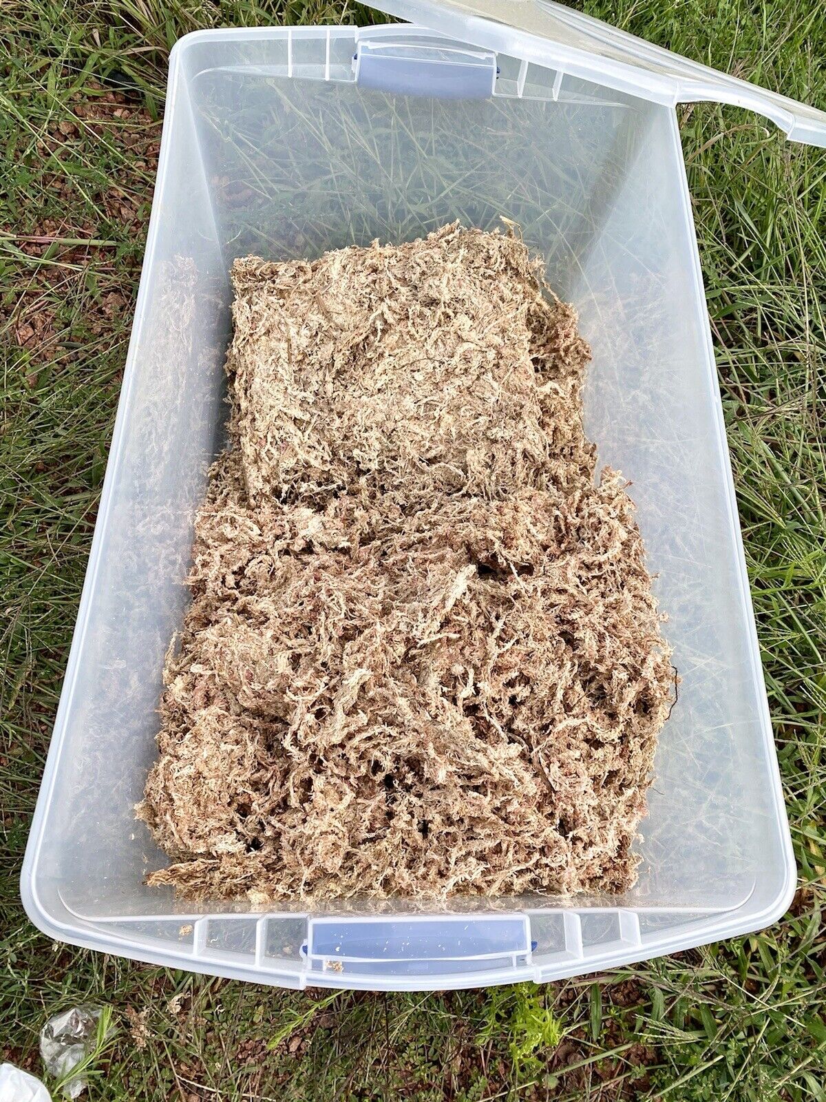 Premium Sphagnum Moss Bulk 5lb. Bale - Ethically Grown and Harvested