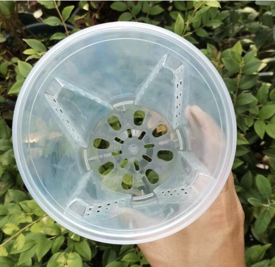 7” Clear Plastic Planters Tall