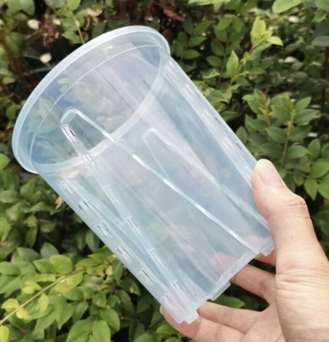 7” Clear Plastic Planters Tall