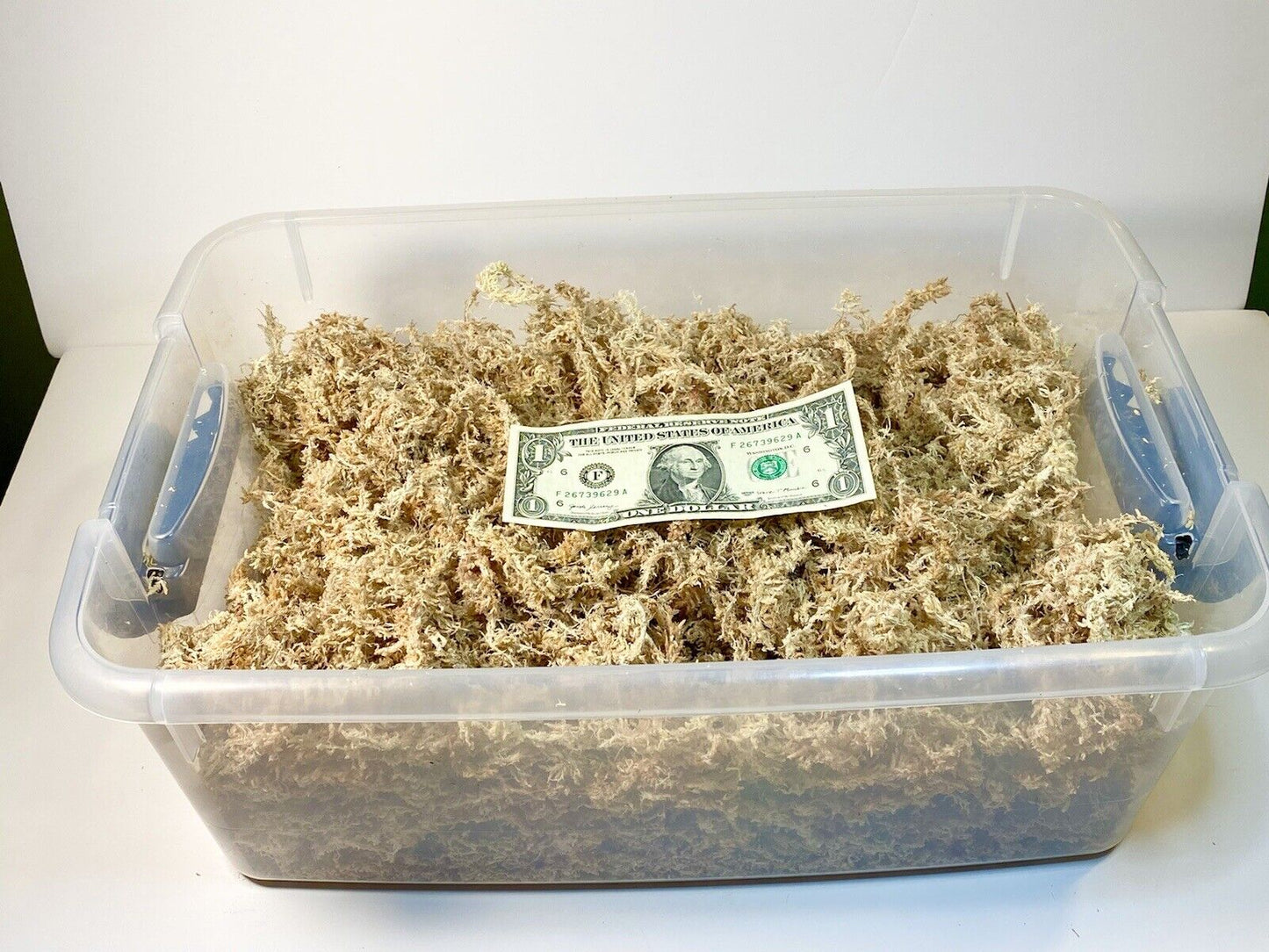 Premium Grade Sphagnum Moss 150g. Mini-bale Ethically Grown & Harvested