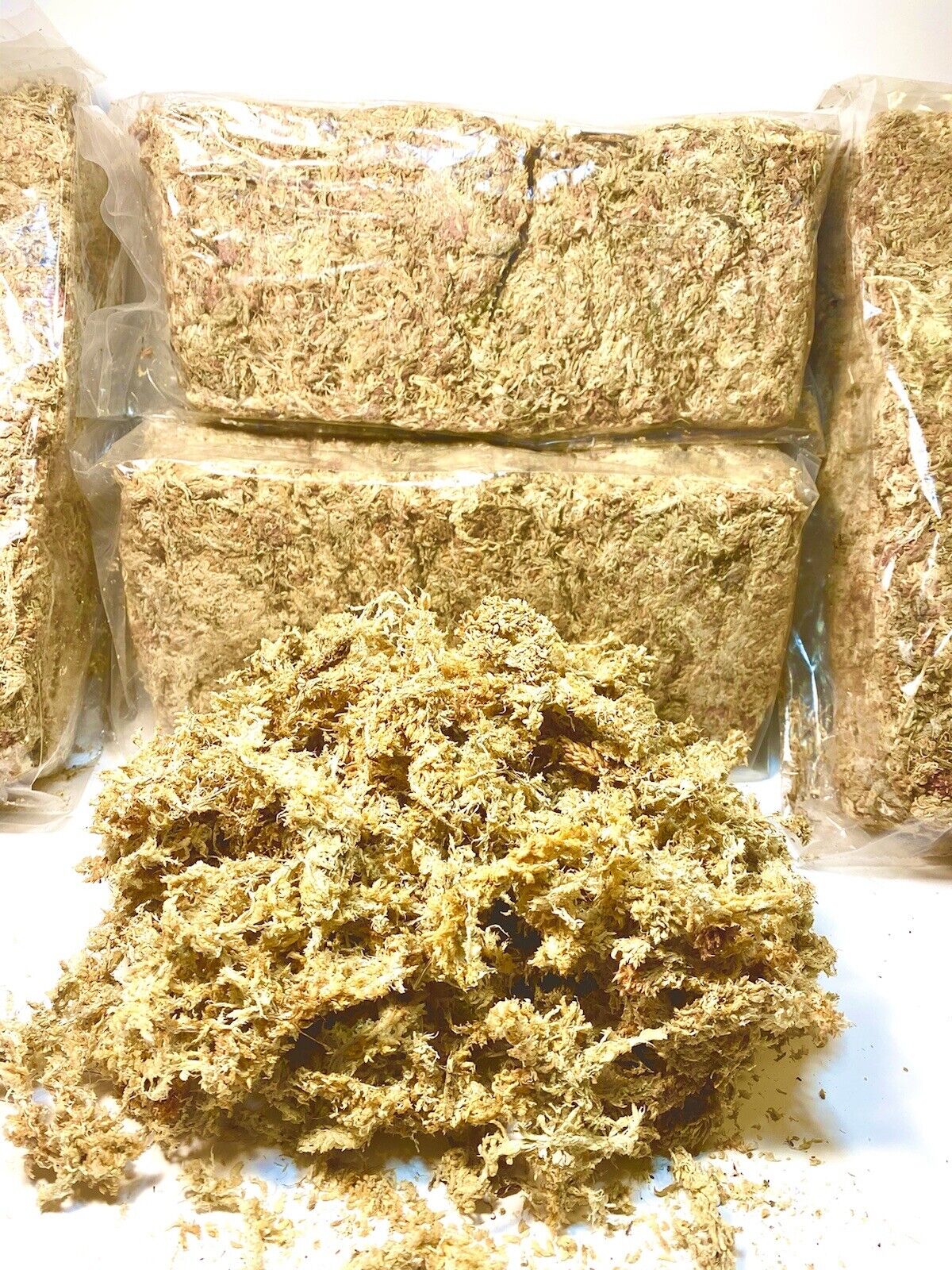 Premium Grade Sphagnum Moss 150g. Mini-bale Ethically Grown & Harvested