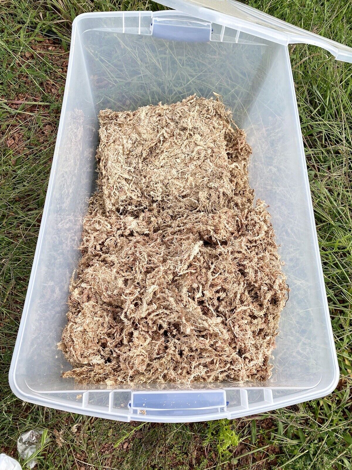 Premium Sphagnum Moss Bulk 10lb. Bale - Ethically Grown & Harvested